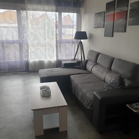 Mulhouse,Grand Appart Cosy&Lumineux, 78M2 , Pour 5 Personnes Ngoại thất bức ảnh