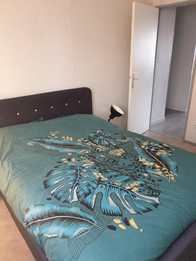 Mulhouse,Grand Appart Cosy&Lumineux, 78M2 , Pour 5 Personnes Ngoại thất bức ảnh