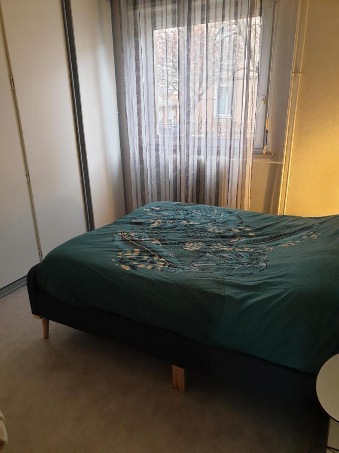 Mulhouse,Grand Appart Cosy&Lumineux, 78M2 , Pour 5 Personnes Ngoại thất bức ảnh